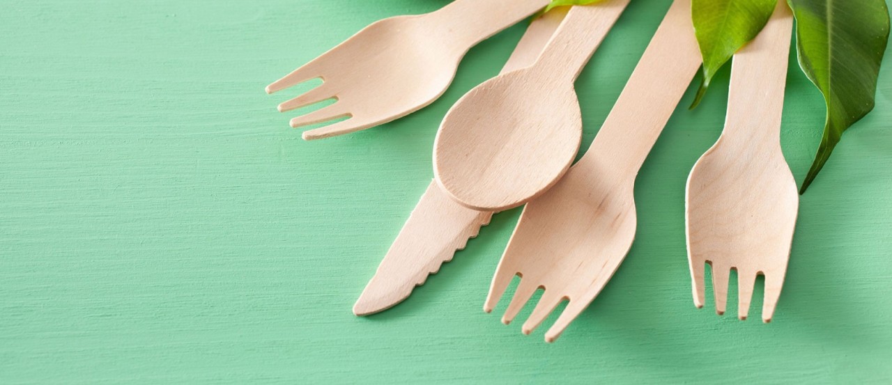 Disposable Wooden Cutlery