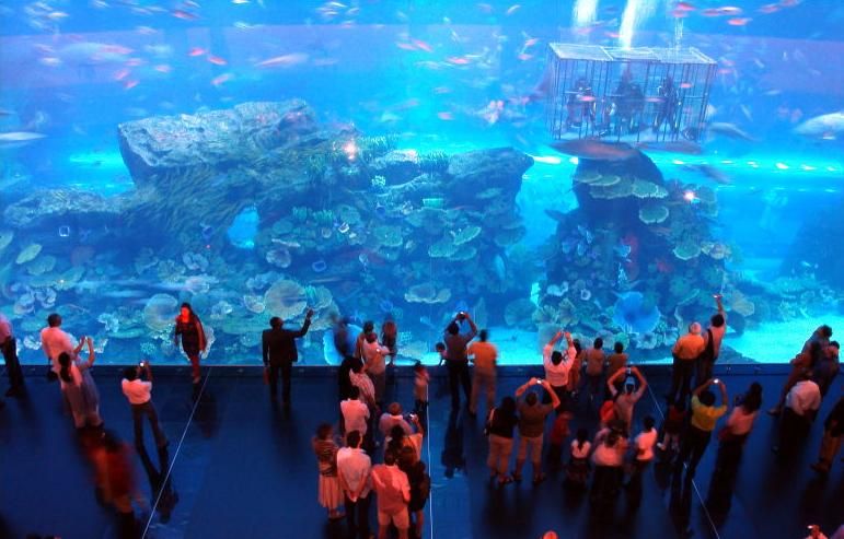 Dubai Aquarium